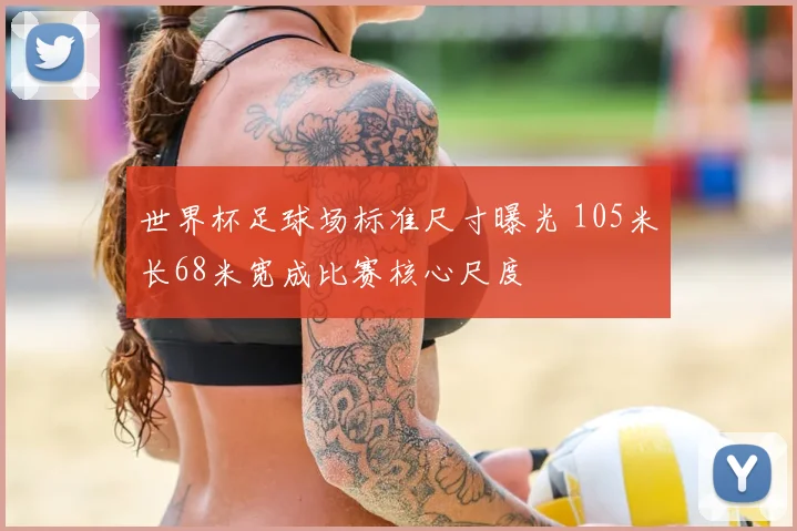 世界杯足球场标准尺寸曝光 105米长68米宽成比赛核心尺度
